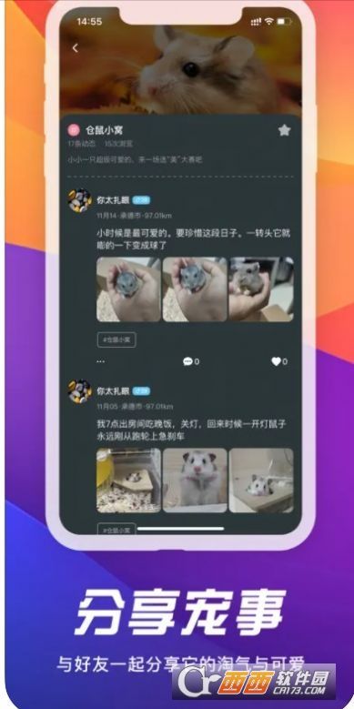 宠物社聊