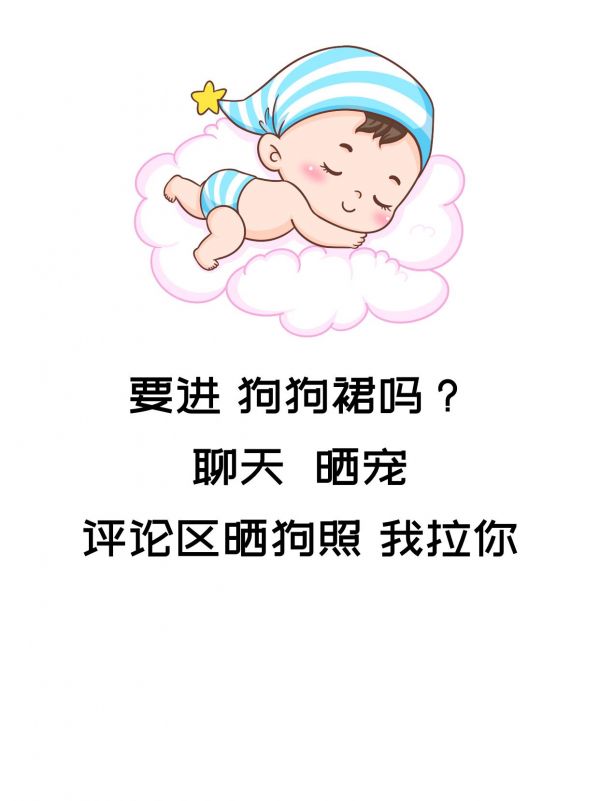进群晒狗照 不限狗狗品种，晒狗狗日常，交流养宠经验，广告 #狗狗 #萌宠 #狗狗交友群 #宠物交流群 #在抖音评论区看修狗