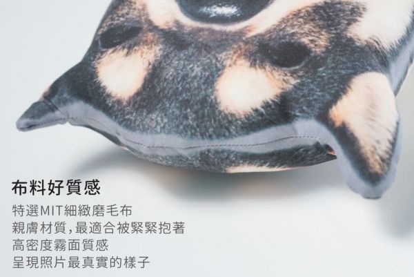 定制化无边宠物抱枕 / 用它的照片做最可爱的抱枕 - 订制抱枕/饰品 - 其他材质 白色