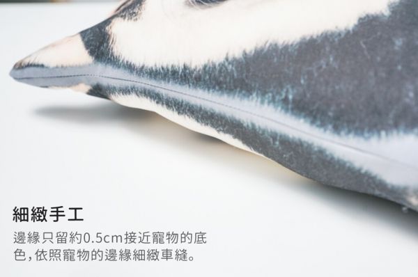 定制化无边宠物抱枕 / 用它的照片做最可爱的抱枕 - 订制抱枕/饰品 - 其他材质 白色