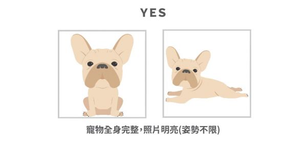 定制化无边宠物抱枕 / 用它的照片做最可爱的抱枕 - 订制抱枕/饰品 - 其他材质 白色