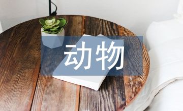 动物行为学的研究方法