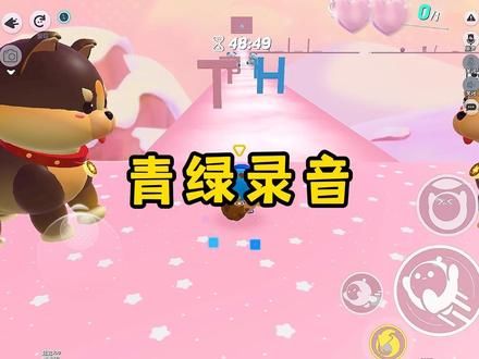 青 绿 录 音
