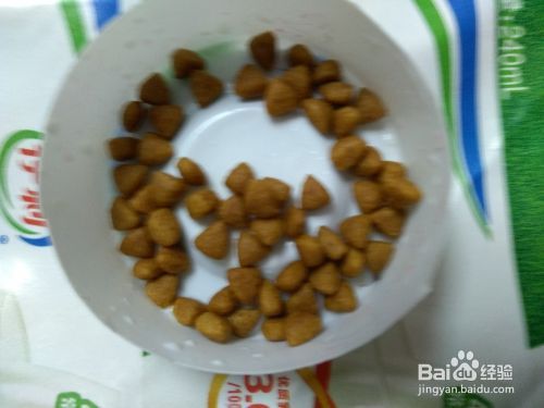猫咪脱肛的治疗和护理方法