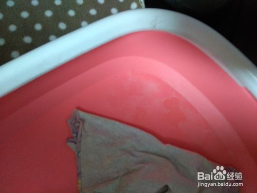 猫咪脱肛的治疗和护理方法