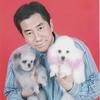 大连训犬师晓伟基地（招学员）
