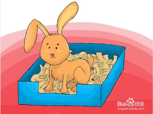 如何教会兔子使用兔砂
