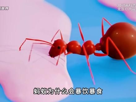 男孩海滩受伤后，膝盖竟孵化出蜗牛！这到底是何原因？ #科普一下 #科普动画 #涨知识 #蜗牛 #冷知识