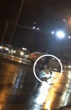 现在流行遛大鹅？网友：一只鹅的战斗力=两只狗…