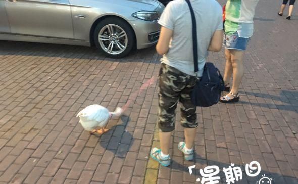 现在流行遛大鹅？网友：一只鹅的战斗力=两只狗…