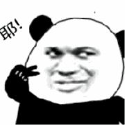 现在流行遛大鹅？网友：一只鹅的战斗力=两只狗…