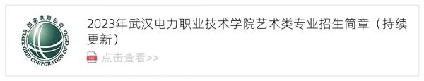 2023武汉电力职业技术学院艺术类招生简章,艺考招生简章,2023校考招生简章