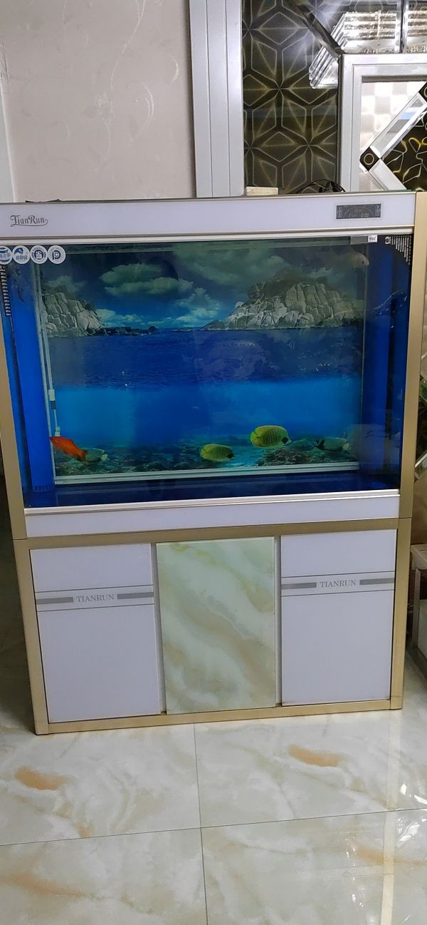 鱼缸