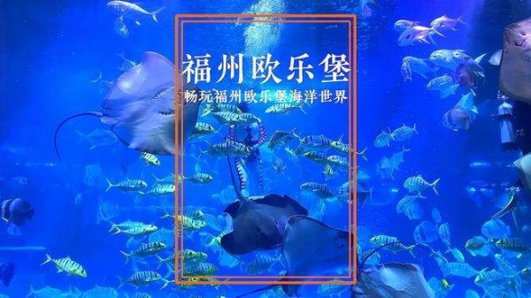 在福州发现了一个宝藏亲子旅游打卡地