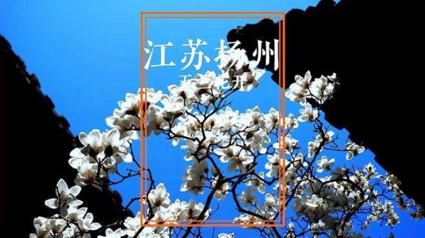 来扬州赴一场赏花之约吧