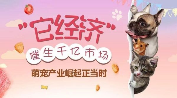 宠物经济(经济学概念)