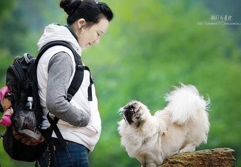 宠物过冬四大误区 狗狗猫猫御寒指导手册