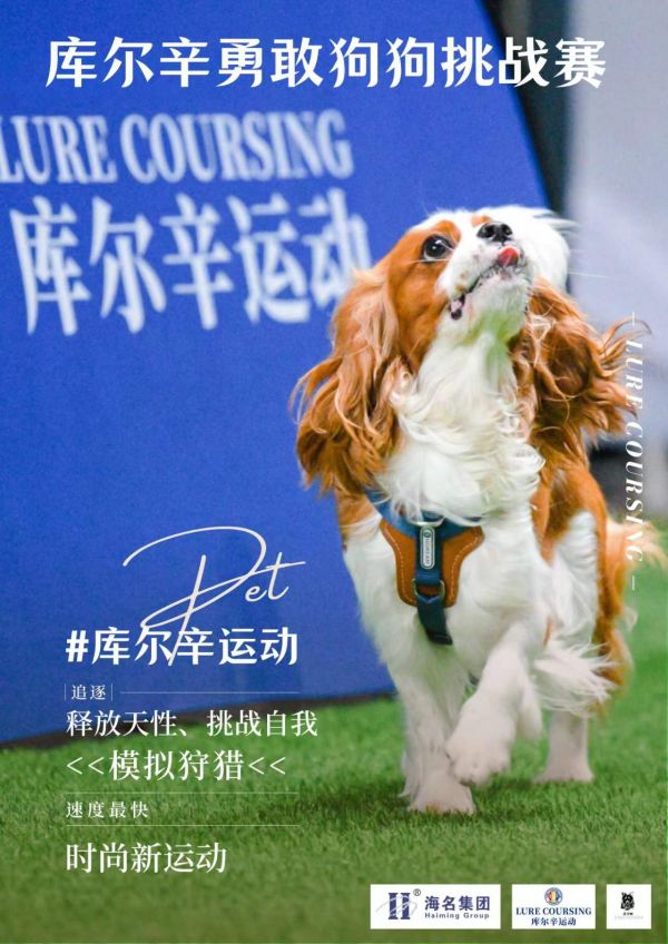 库尔辛运动赛事家:有趣好玩的库尔辛赛事与跨境电商展联合举办!快来带你家狗子一起来玩吧! 活动时间:9.23-24 活动地点:黄岛啤酒城 活动内容: 1.库尔辛模拟狩猎运动 2.跨境展 3.沙滩落日打卡 4.网红咖啡馆 5.品牌集市 6.儿童乐园 #库尔辛运动 #青岛跨境电商博览会#青岛国际宠物展#遛狗日常#周末去哪儿
