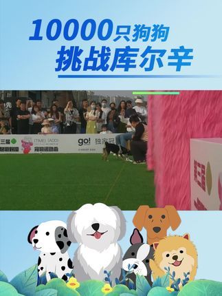 库尔辛运动赛事家:激发狗狗的狩猎天性,等你来参与!#10000只狗狗挑战库尔辛 #库尔辛运动 #库尔辛遛狗器