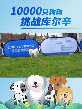 库尔辛运动赛事家:10000 只狗狗挑战库尔辛活动火热进行中......#10000只狗狗挑战库尔辛 #库尔辛运动 #库尔辛遛狗器