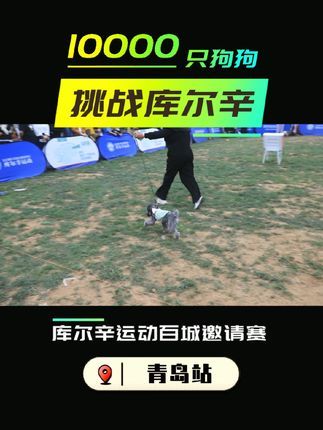 库尔辛运动赛事家:全民挑战库尔辛,亲子赛也不错哦!#10000只狗狗挑战库尔辛 #库尔辛运动 #库尔辛遛狗器