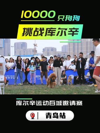 库尔辛运动赛事家:10000只狗狗挑战库尔辛来到青岛站!#10000只狗狗挑战库尔辛 #库尔辛运动 #库尔辛遛狗器