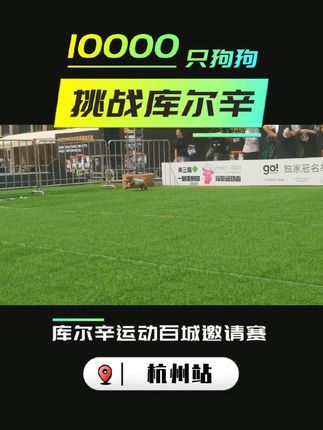 库尔辛运动赛事家:库尔辛百城邀请赛之杭州站!#10000只狗狗挑战库尔辛 #库尔辛运动 #库尔辛遛狗器