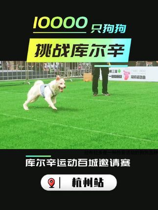 库尔辛运动赛事家:10000只狗狗挑战库尔辛来到杭州站,拉开帷幕~#10000只狗狗挑战库尔辛 #库尔辛运动 #库尔辛遛狗器