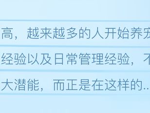 专栏