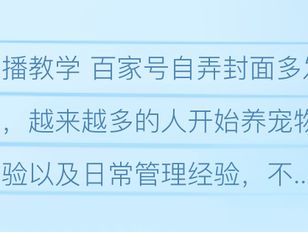 专栏
