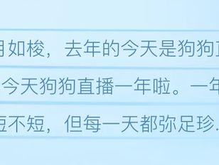 专栏
