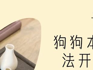 专栏