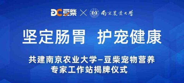 南农大携手豆柴 正式成立宠物营养专家工作站