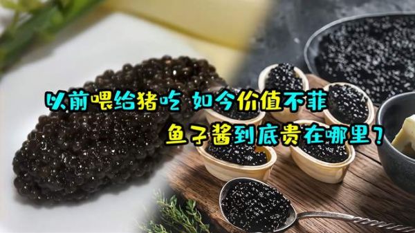 以前拿来喂猪吃,现在一口值千金,鱼子酱到底贵在哪里?