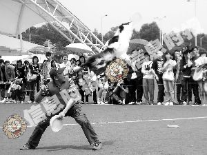 宠物狗也开运动会