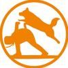 国家高级训犬师哈王