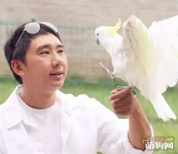 中国狗狗正向训练第一人，教你狗狗训练干货！
