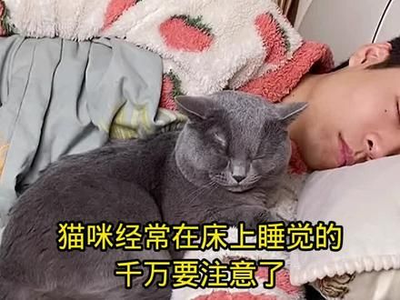 小猫从来不会伪装，爱你就会大大方方的爱你！#萌宠 #小猫治愈世界 #养猫经验分享 #科学养宠攻略 #猫咪