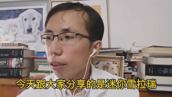 雪纳瑞常见的遗传病-狗狗遗传病(兽医陈满福原创vlog610)