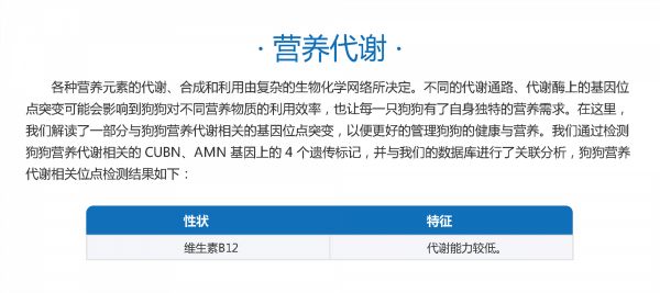 牛布鲁氏菌快速检测_江西畜用药抗体检测卡