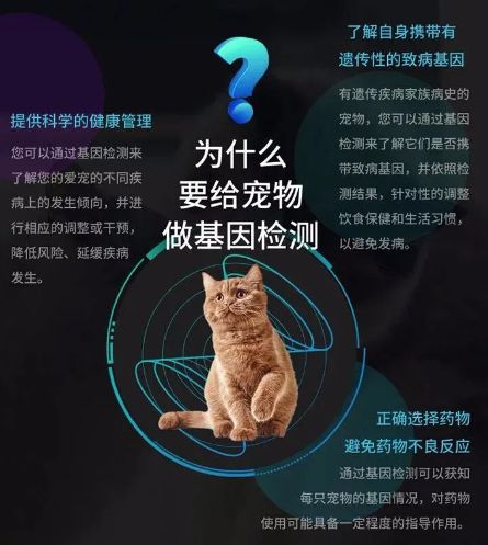 宠物基因检测