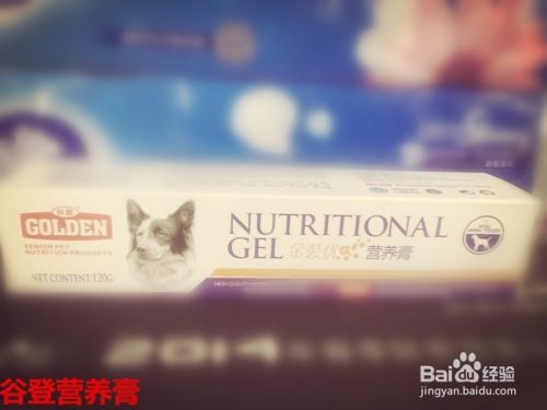 宠物狗狗缺营养表现有哪些？