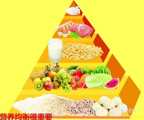 宠物狗狗缺营养表现有哪些？
