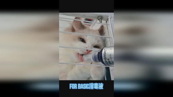 环境消毒做的好，宠物少往医院跑