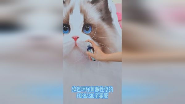 如何选择宠物消毒液
