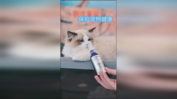 如何预防宠物皮肤病