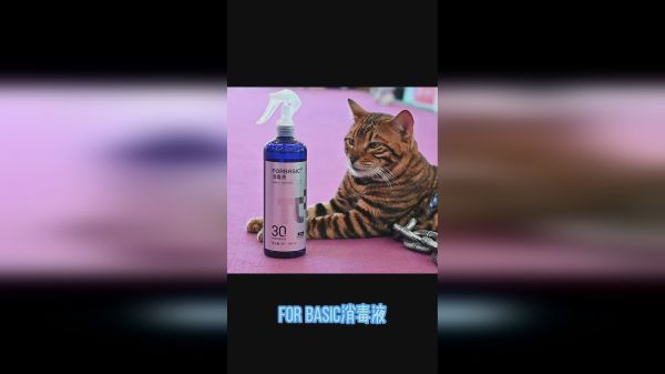 宠物接种疫苗前的杀菌工作你们做好了吗？