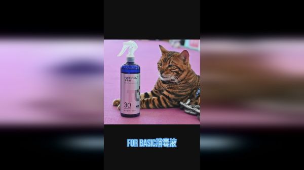 如果宠物得了皮肤病你一定要注意这些！