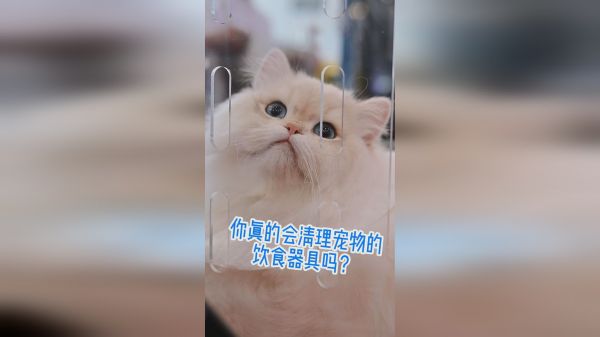 让宠物“食”的安全、放心