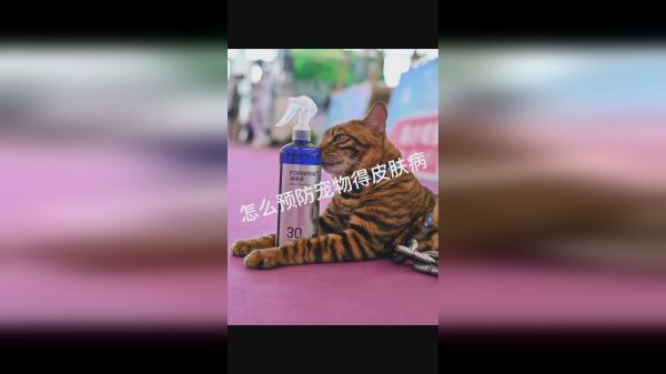怎么预防宠物得皮肤病呢？